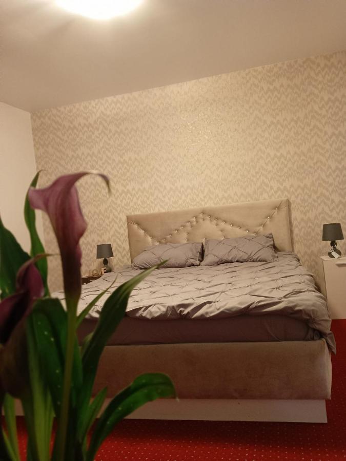 Apartamento Karina House Braşov Exterior foto